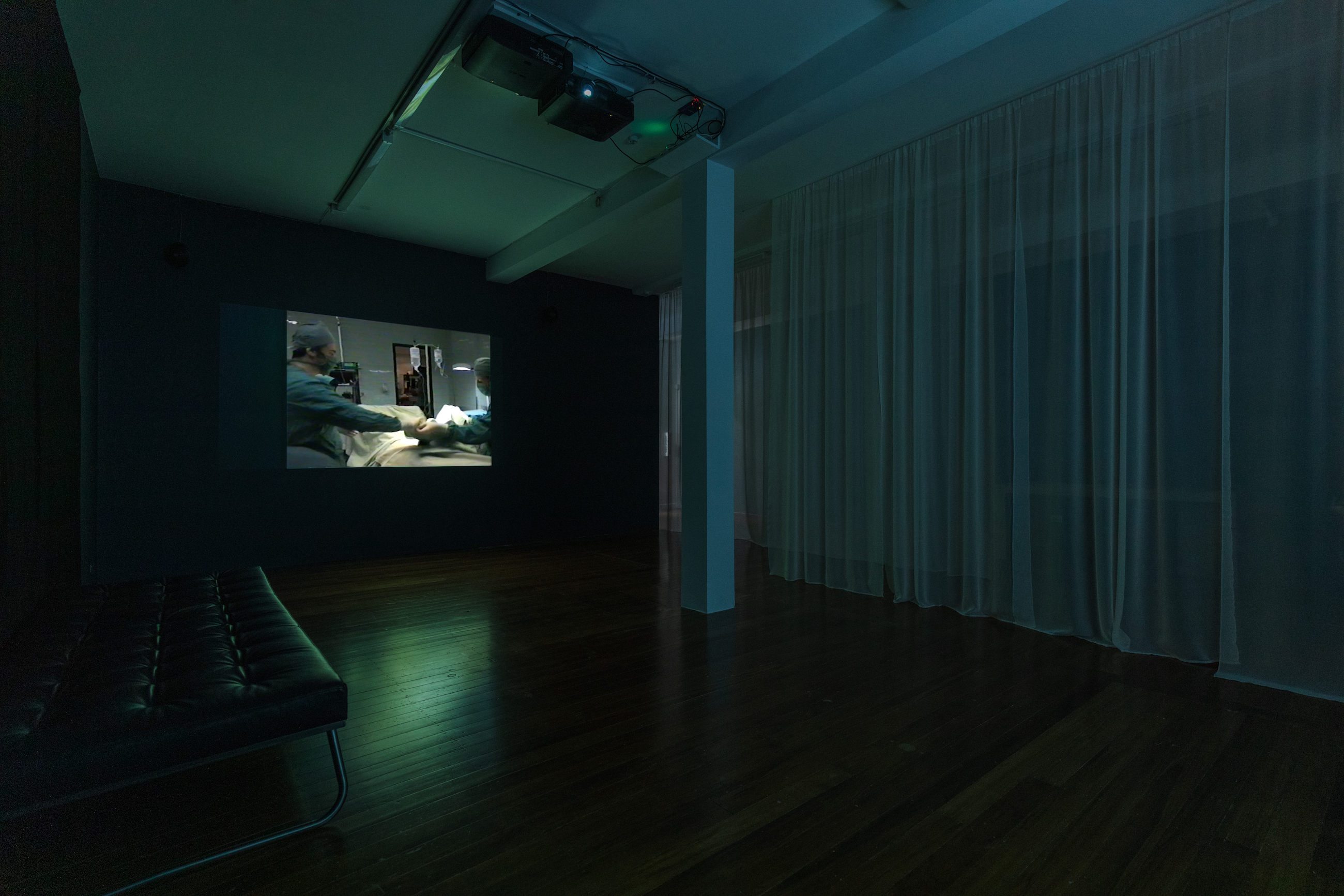 Selina Ershadi and James Tapsell-Kururangi: My throat/a shelter