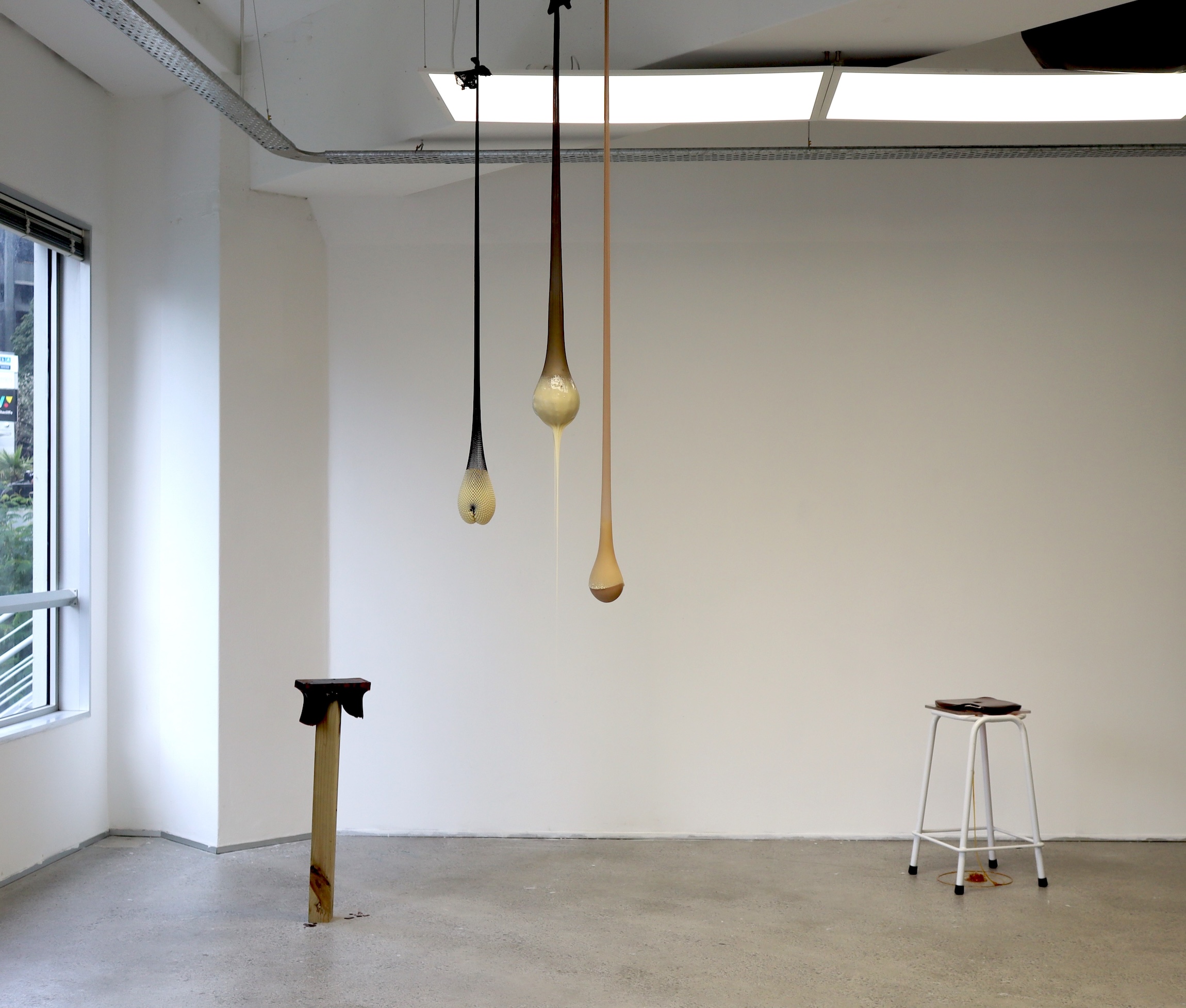 Nicole Zhao: Meanwhile